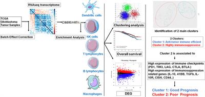 Prognostic Gene Expression Signature in Patients With Distinct Glioma Grades